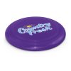 100194 Trends Collection Large Flyer – Purple