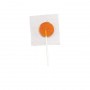 100375 Trends Collection Lollipops Orange