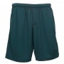 Biz Collection Mens Sonic Shorts-st2020_6_forest_725