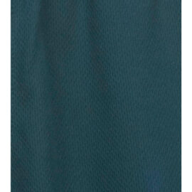Biz Collection Mens Sonic Shorts