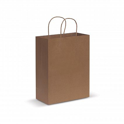 The Trends Collection Large Paper Carry Bag is a large carry bag made from 160gsm paper. Available in Natural, White & Black. Great branded promotional retail bag product.