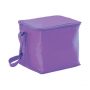 b104a Legend Life Small Cooler Bag Purple