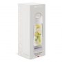 110004 TRENDS Bopp Fruit Infuser Bottle