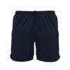 The Biz Collection Tactic Shorts are BIZ COOL™ breathable 92% Polyester, 8% Elastane Stretch fabric shorts. Available in 2 colours.