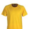 The Aurora Sports Mens XT Performance Tee is a v-neck, polyester performance tee.  Quick dry.  9 colours.  S - 5XL.  Great performance sports wear.