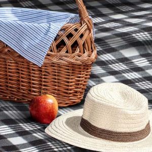 112565 TRENDS Dakota Picnic Blanket The Trends Dakota Picnic Blanket is a Black/Grey picnic blanket that folds into compact unit. 3 branding options. Great branded picnic blankets.