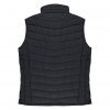 3523-Snowy-Black_Back