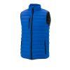 mens-whistler-light-down-vest-new-royal