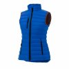 womens-whistler-light-down-vest-new-royal