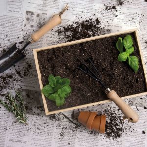 Dig-It-Garden-Box_lifestyle The Catalogue Dig It Garden Box is a natural pine wood box with a 3 piece garden set. Includes a cultivator, spade trowel and soil hoe.