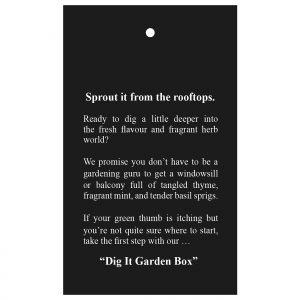 The Catalogue Dig It Garden Box is a natural pine wood box with a 3 piece garden set. Includes a cultivator, spade trowel and soil hoe.