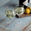 The Catalogue Ginaissance Glass Set is a set of 2 stemmed gin and tonic glasses. Ballon shaped glasses. Holds 550ml in each glass.