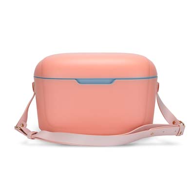 134228 TRENDS Daisy Cooler